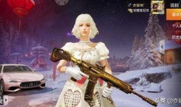 最新载具皮肤爆料,潮流元素引领时尚潮流